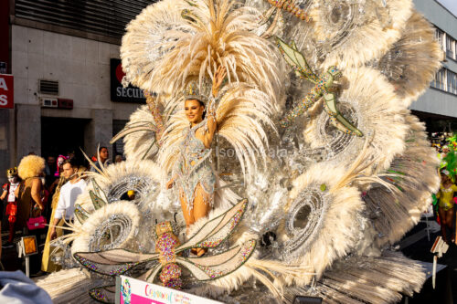 Las Palmasin karnevaalit: kuningatar