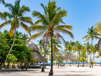 Cayo Levantado eli Bacardi Island, Dominikaaninen tasavalta