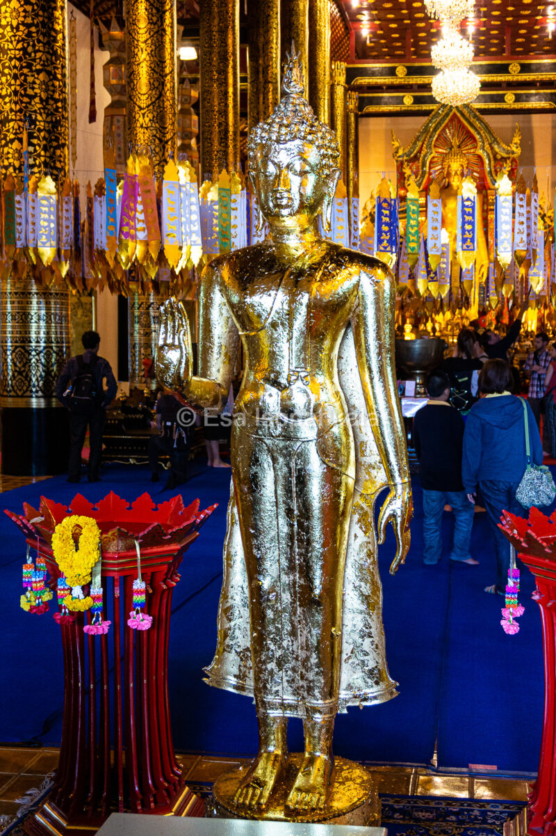 Buddha-patsas, Wat Chedi Luang, Chiang Mai, Thaimaa