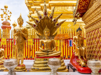 Kultaiset buddhat, Wat Doi Suthep, Chiang Mai, Thaimaa