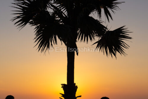 Auringonlasku, Promthep Cape, Phuket, Thaimaa