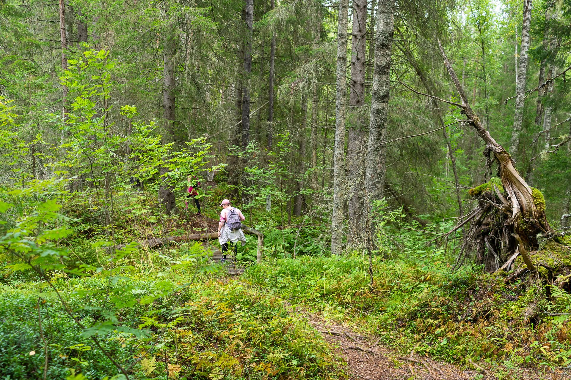 Siiponjoen luontopolku, Kalajoki