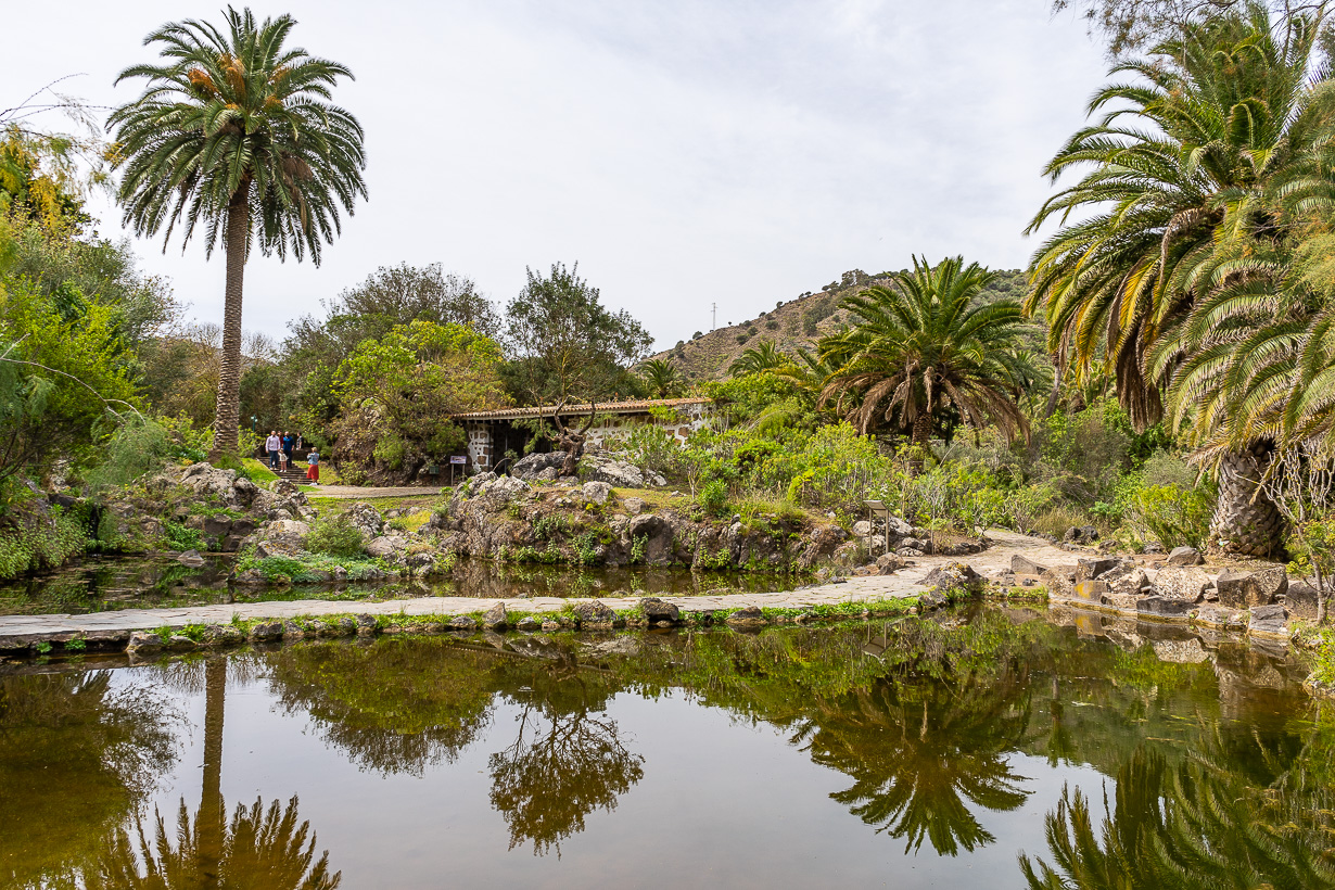 Kasvitieteellinen puutarha Viera y Clavijo, Gran Canaria, lampi ja talli