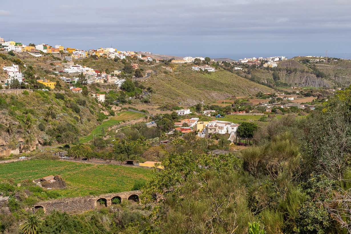 Kasvitieteellinen puutarha Viera y Clavijo, Gran Canaria