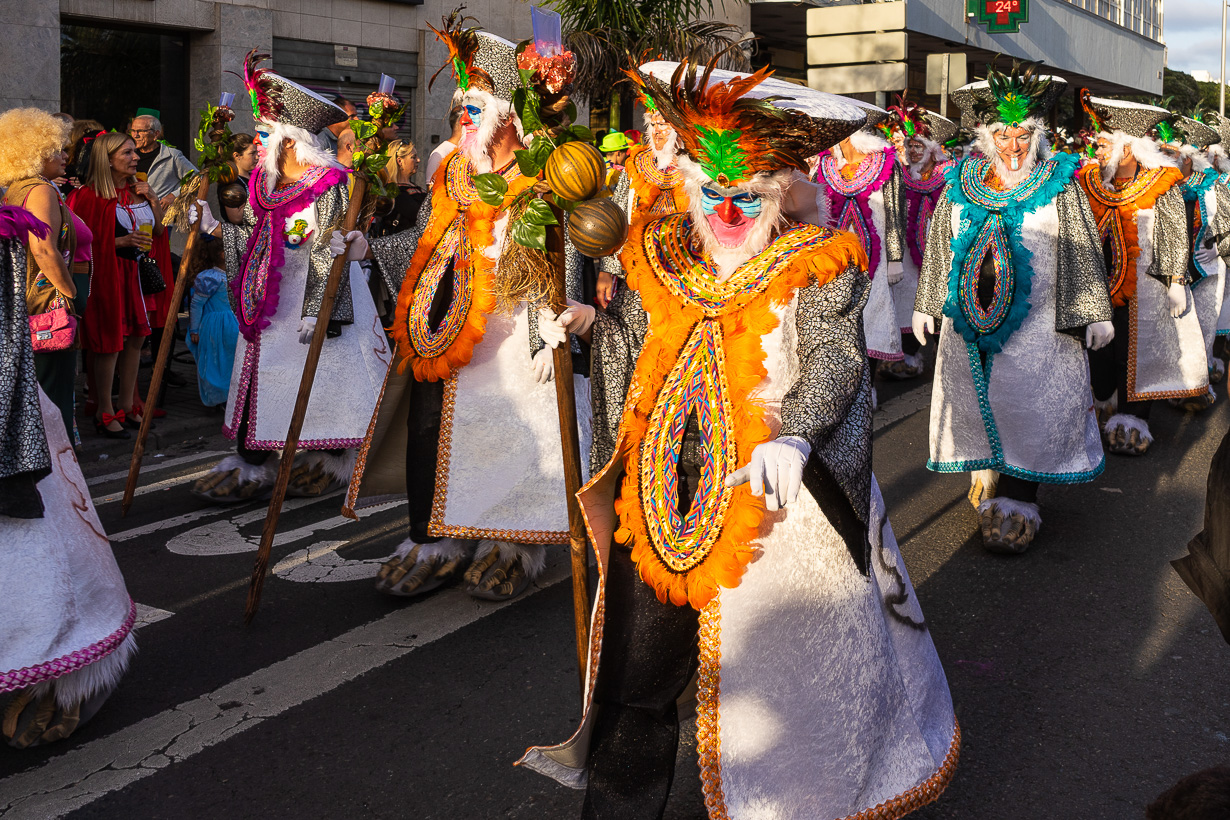 Las Palmasin karnevaalien 2020 suuri kulkue