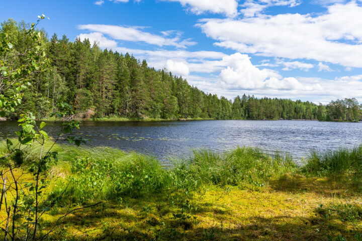 Ylinen Ritajärvi, Ritajärven luonnonsuojelualue, Sastamala