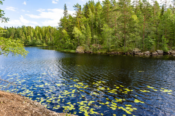 Ylinen Ritajärvi, Ritajärven luonnonsuojelualue, Sastamala