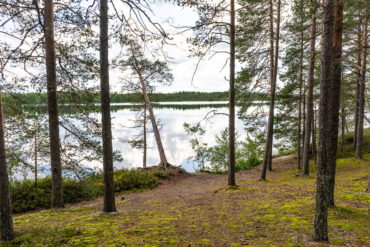 Pitkäjärven patikointi, Kalajoki