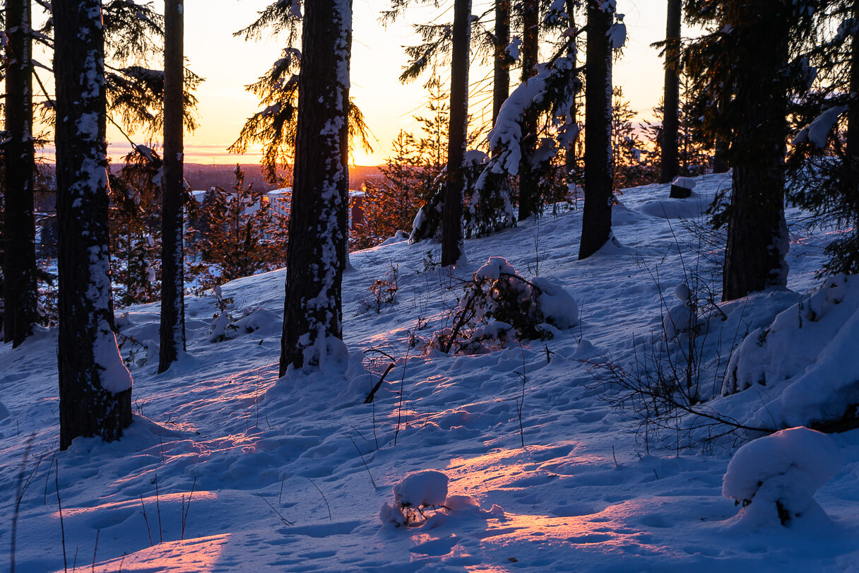 Talvinen auringonlasku Kangasalan Kirkkoharjulla
