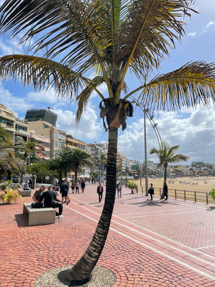 Palmu, Playa Grande, Playa de Las Canteras, Las Palmas de Gran Canaria.