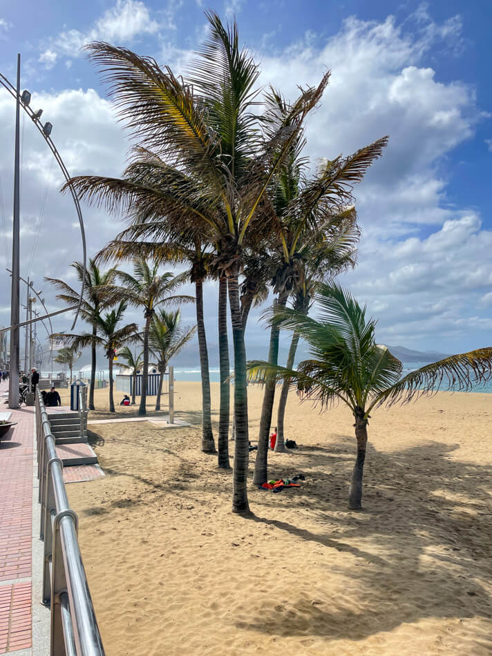 Palmu, Playa Grande, Playa de Las Canteras, Las Palmas de Gran Canaria.