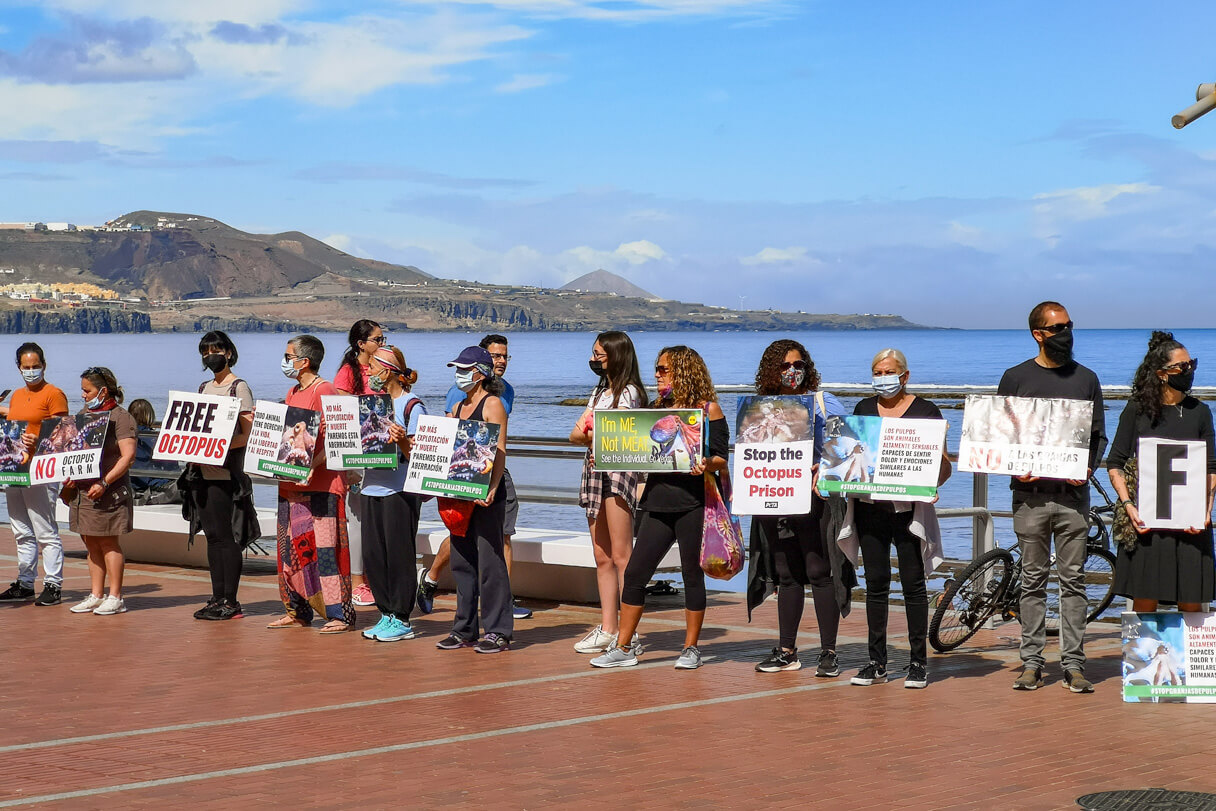 Mustekalojen viljelyä vastustava mielenosoitus, Playa Chica