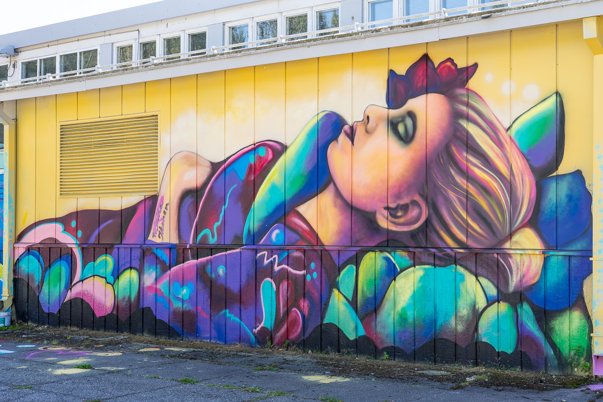Daydreamer-graffiti, tekijä Salla Ikonen.