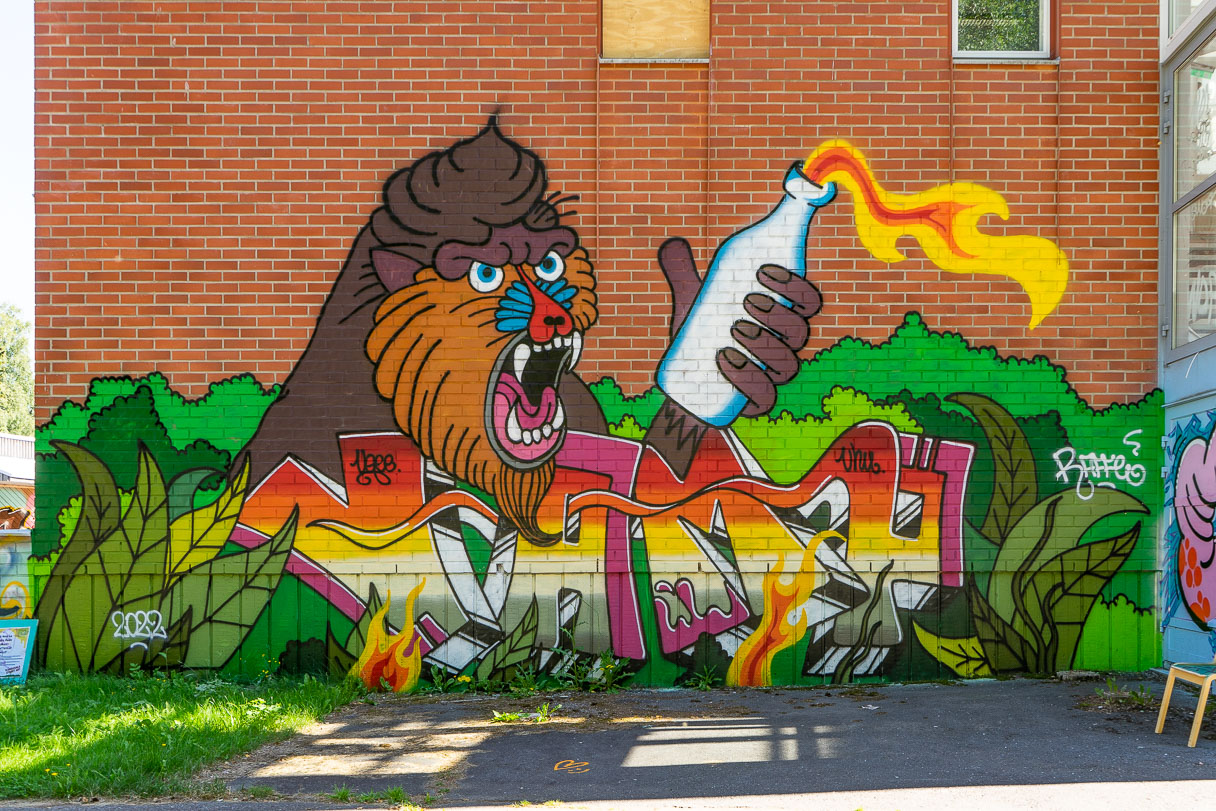 Apina ja Molotovin coctail -graffiti.