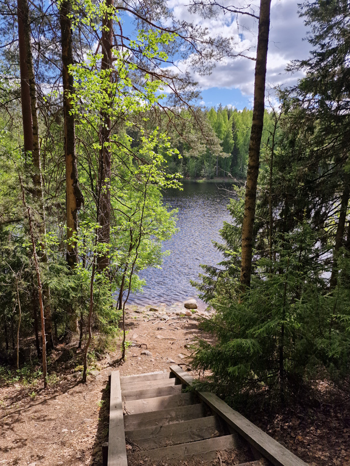 Pikku-Ahveniston luontopolun portaat rantaan, Ylöjärvi
