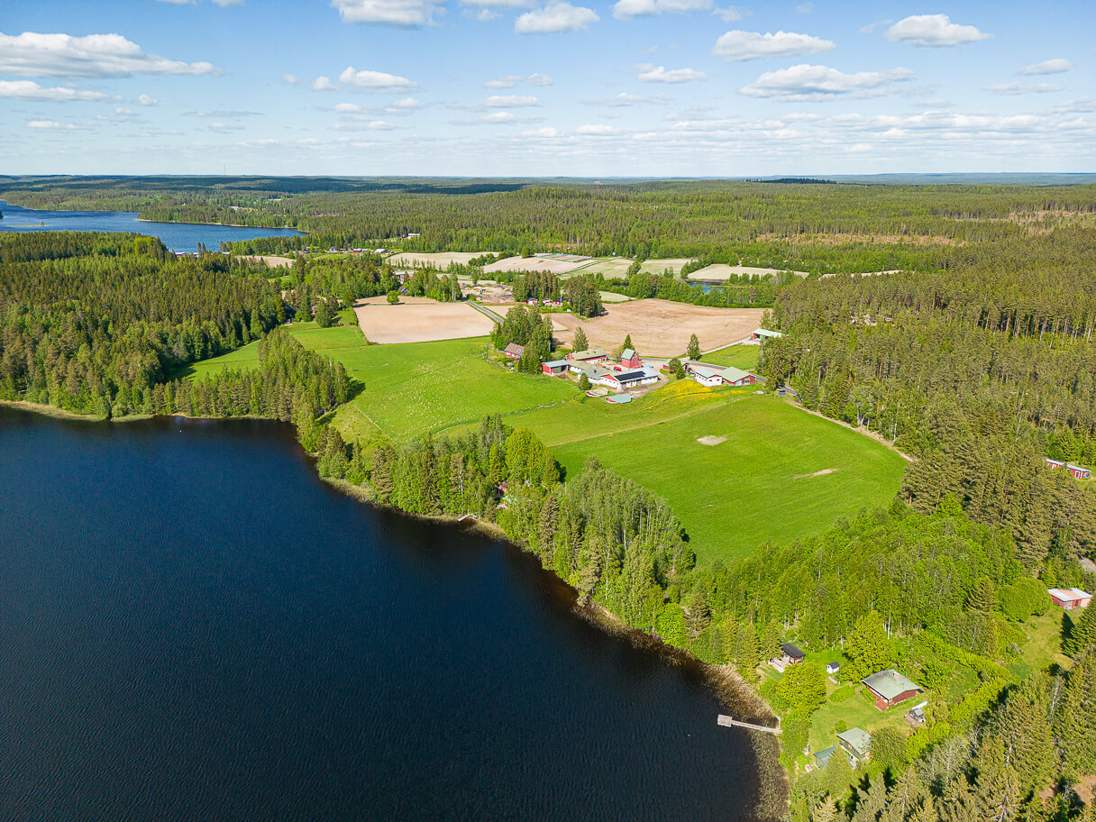 Virtain Kangasjärvi, Paavolanperä, Torisevan luontopolku, ilmakuva