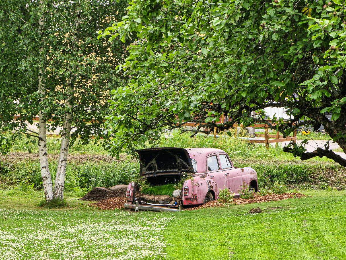 Vaaleanpunainen auto Vaihmalan Hovin puistossa.